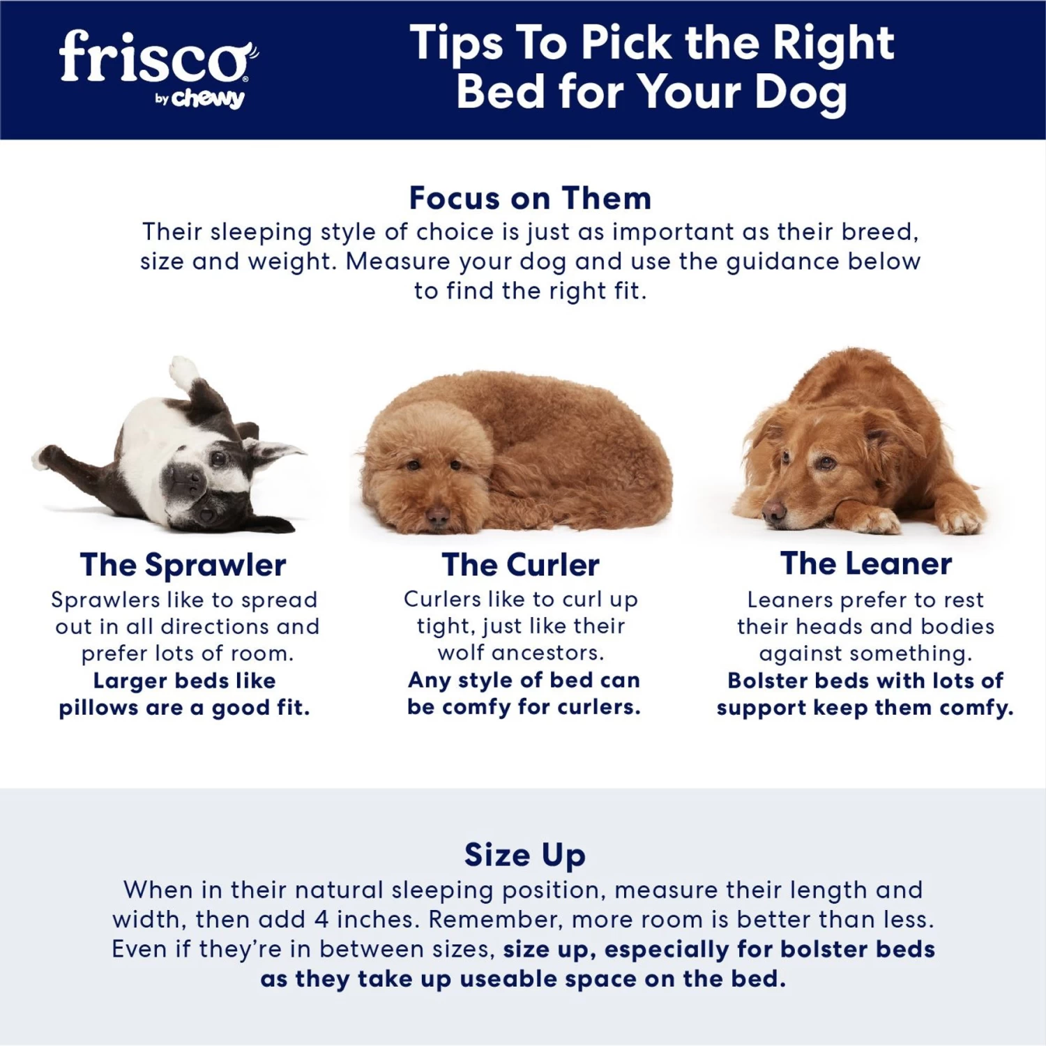 Frisco Plush Pillow Cat & Dog Bed W/ Removable Cover - Image 5