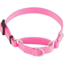 Frisco Solid Nylon Slip-On Martingale Dog Collar