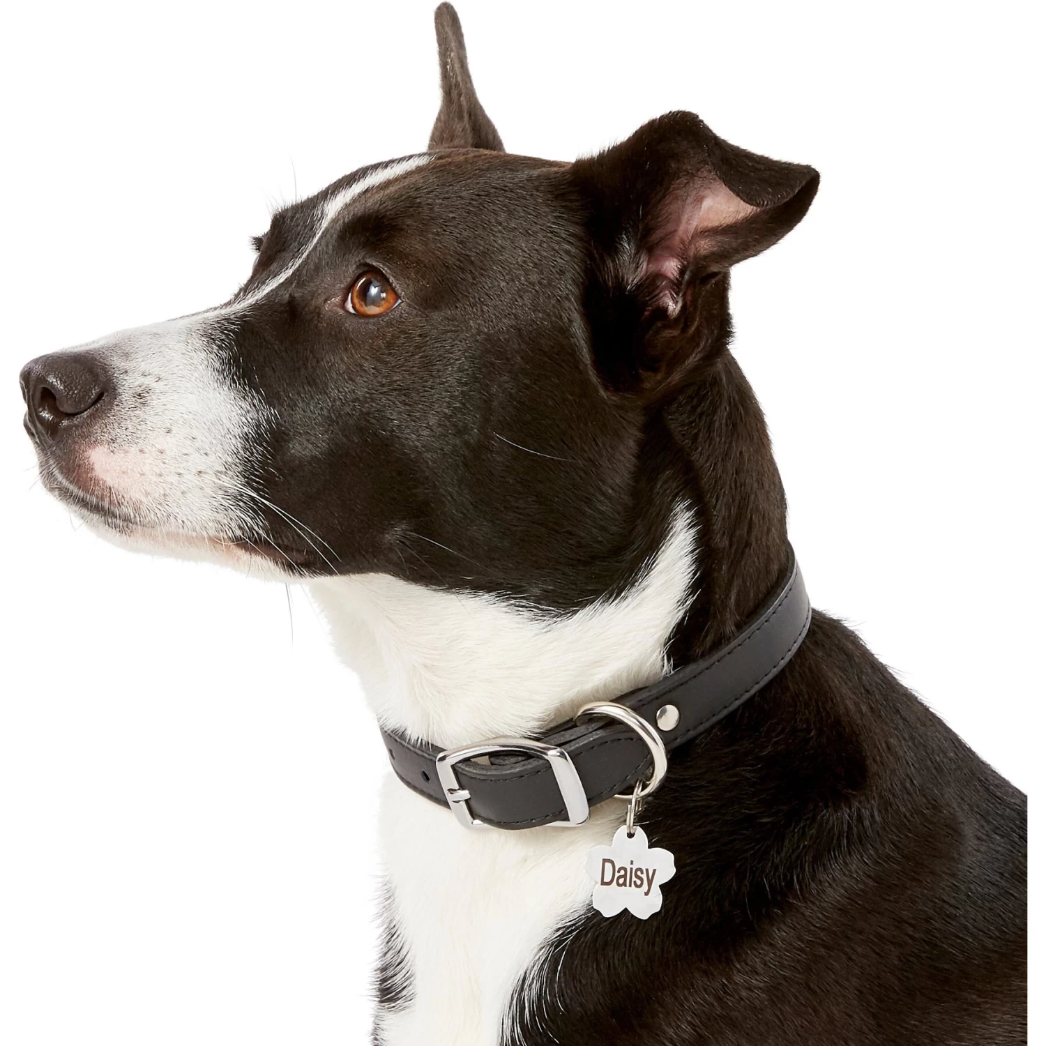 Frisco Stainless Steel Personalized Dog & Cat ID Tag, Flower - Image 6