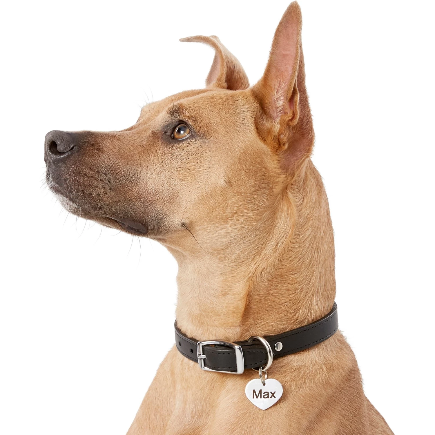 Frisco Personalized Dog & Cat ID Tag, Heart - Image 6