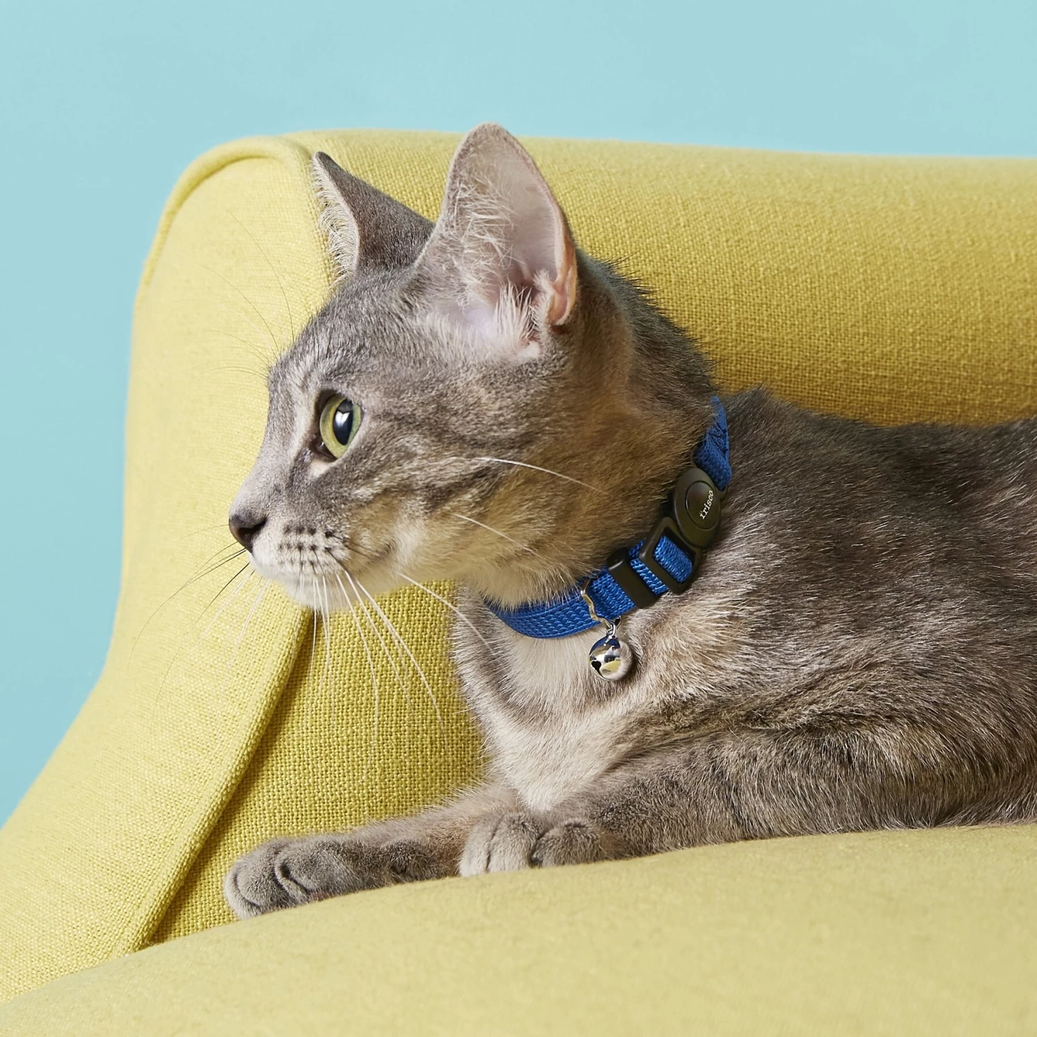 Frisco Nylon Breakaway Cat Collar With Bell - Image 2