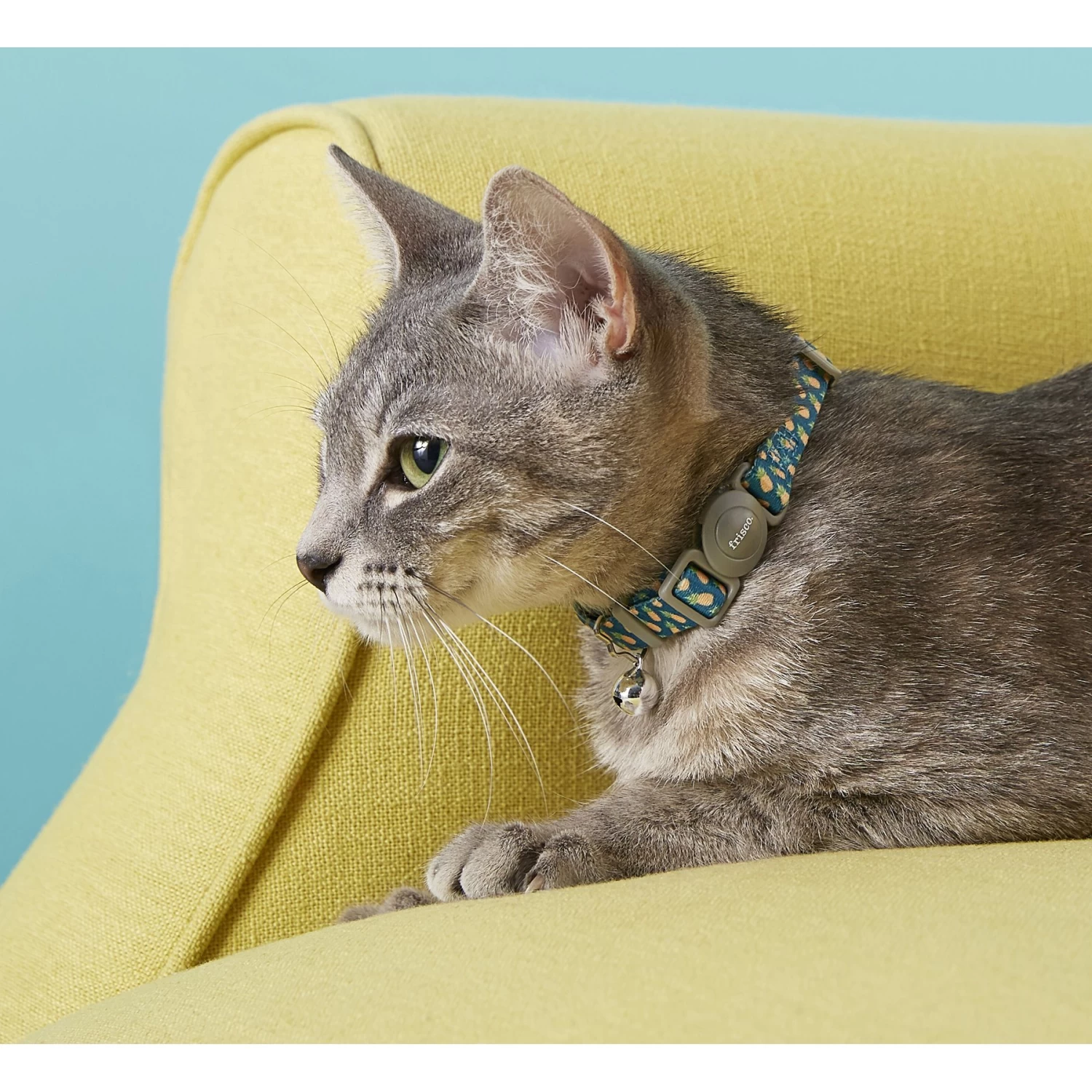 Frisco Pineapple Polyester Breakaway Cat Collar With Bell - Image 2