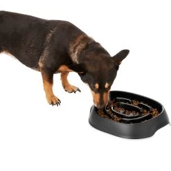 Frisco Non-Skid Slow Feeder Dog & Small Pet Bowl