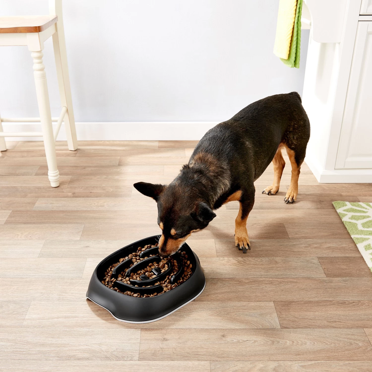 Frisco Non-Skid Slow Feeder Dog & Small Pet Bowl - Image 5