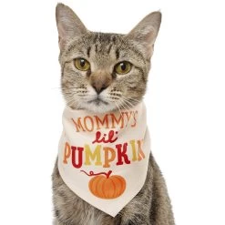 Frisco Mommy's Lil Pumpkin Dog & Cat Bandana