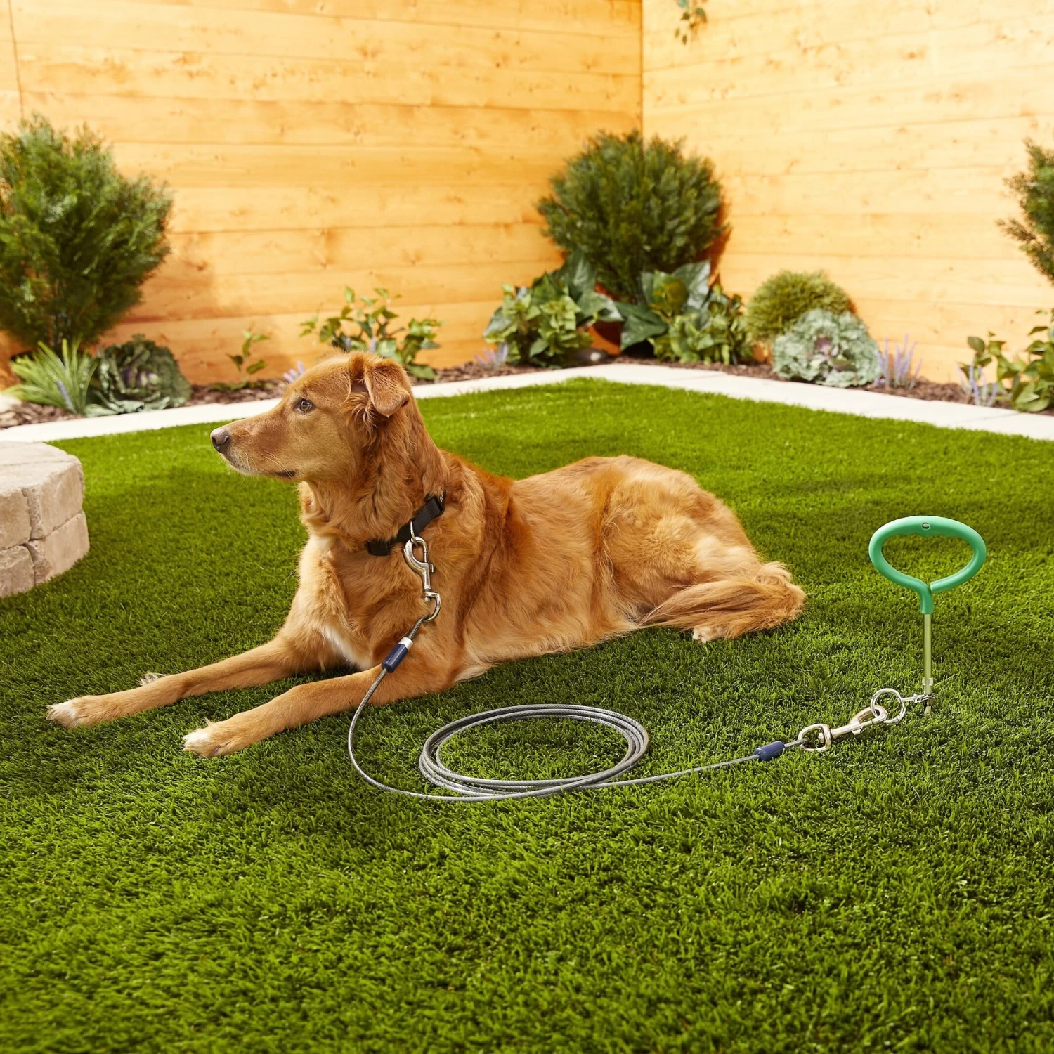 Frisco Tie Out Cable - Image 2