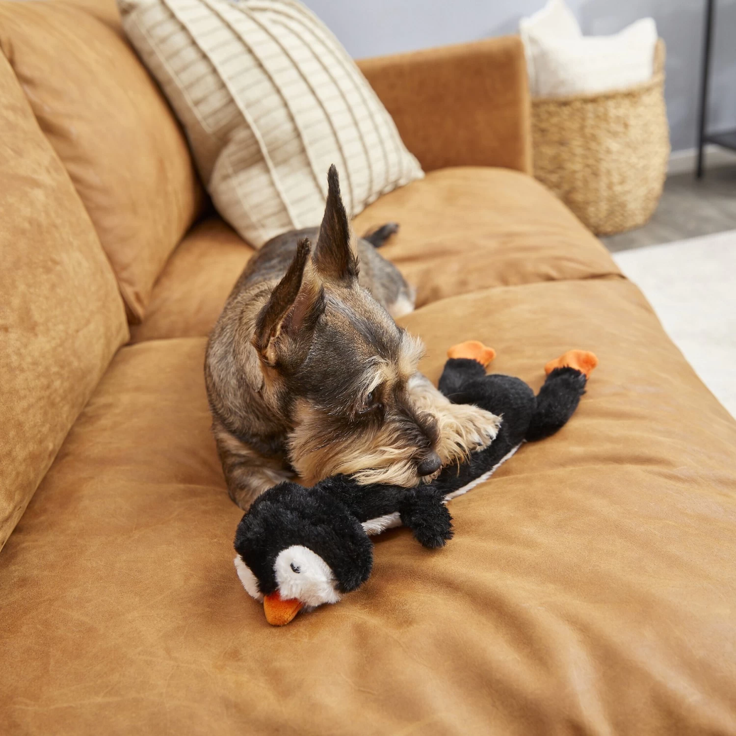 Frisco Penguin Skinny Plush Squeaky Dog Toy - Image 3