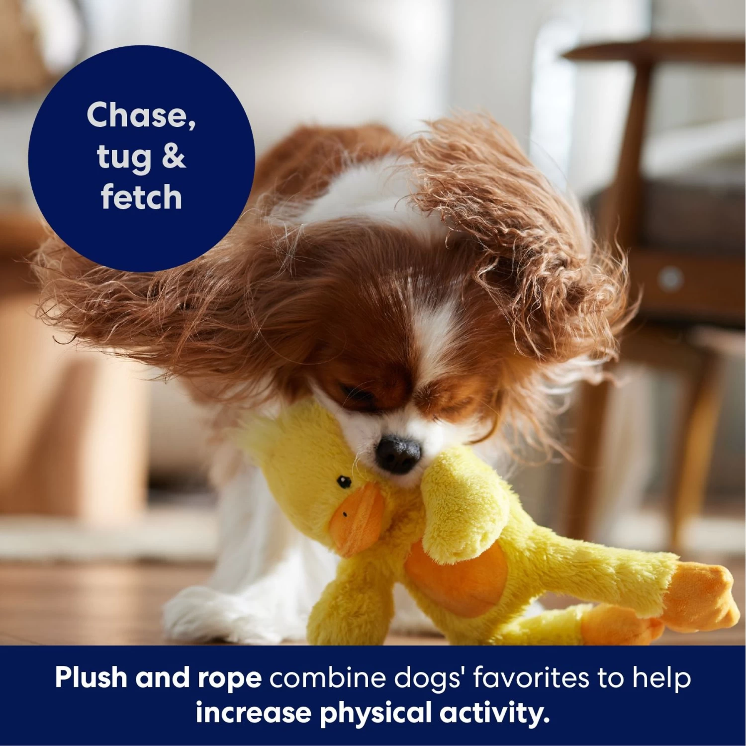 Frisco Duck Plush With Inside Rope Squeaky Dog Toy - Image 5