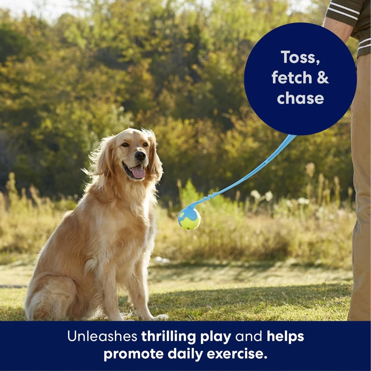 Frisco Ball Launcher & Fetch Squeaky Tennis Ball Dog Toy - Image 4