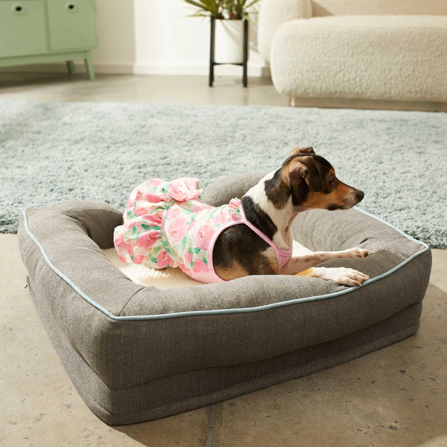 Frisco Pink Floral Dog & Cat Dress - Image 5