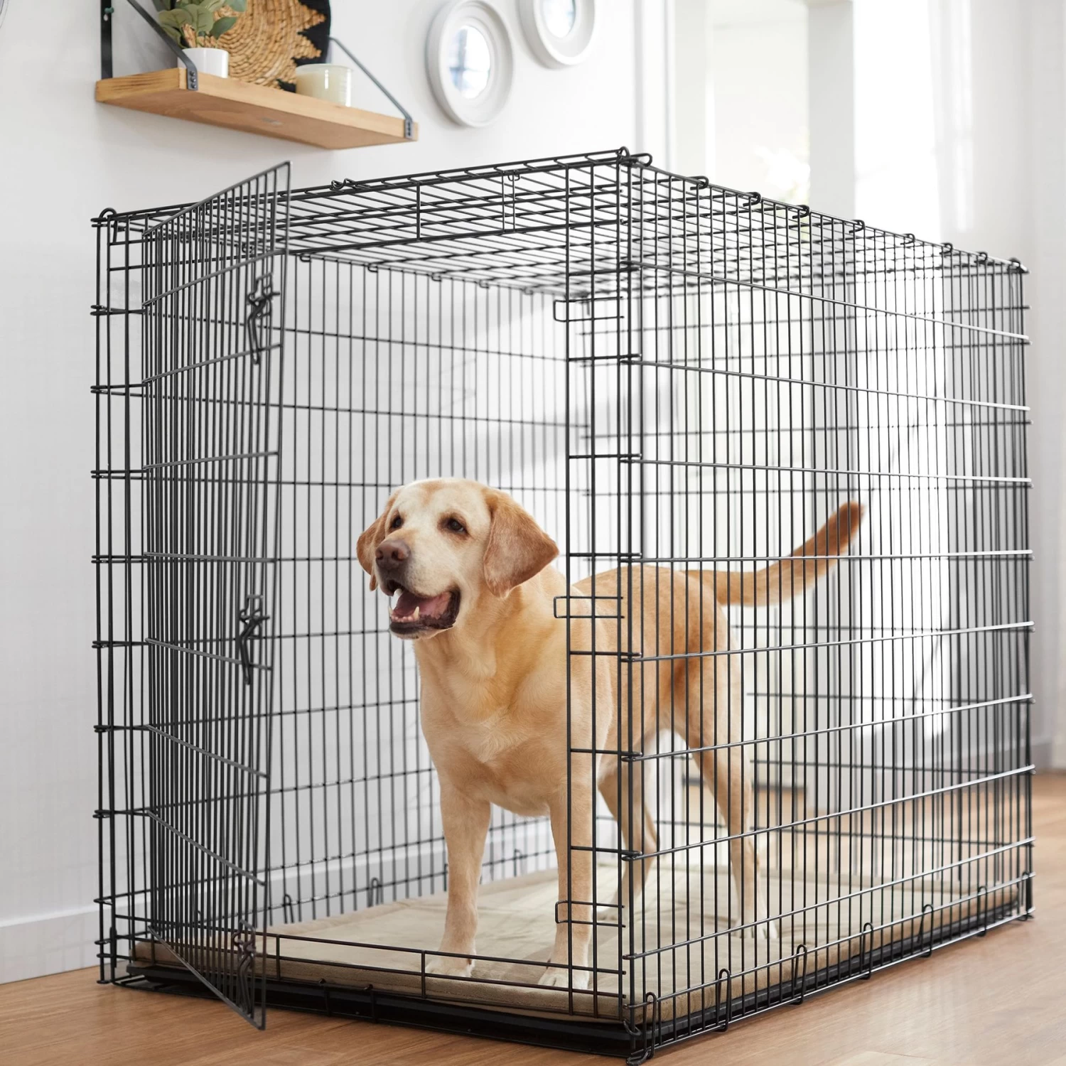 Frisco Heavy Duty Single Door Wire Dog Crate