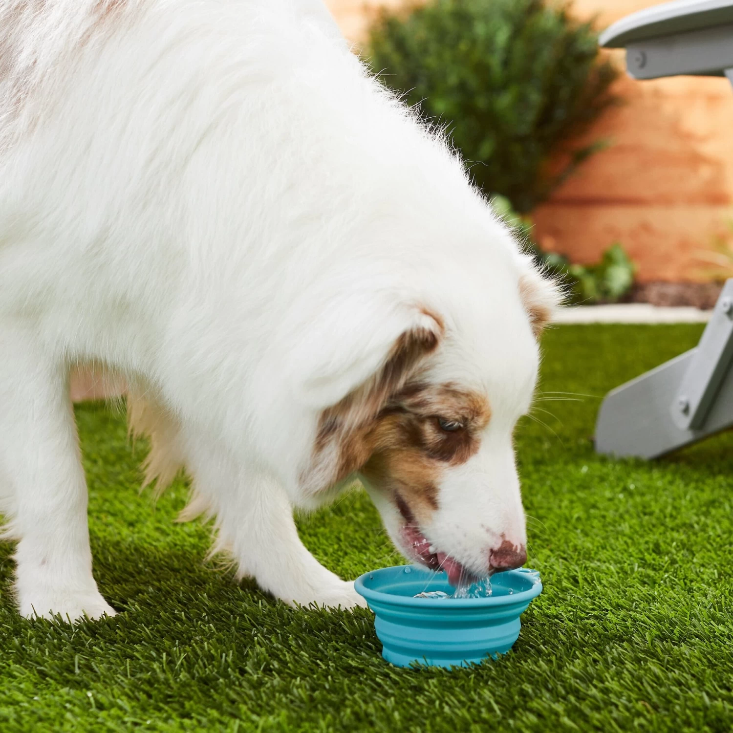 Frisco Silicone Collapsible Travel Bowl Set - Image 5