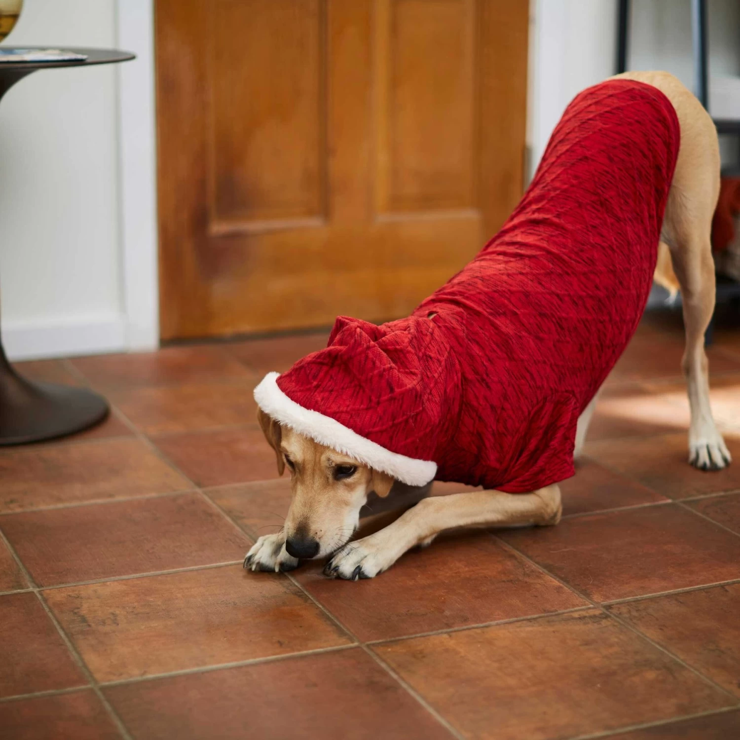 Frisco Textured Knit Dog & Cat Hoodie - Image 7