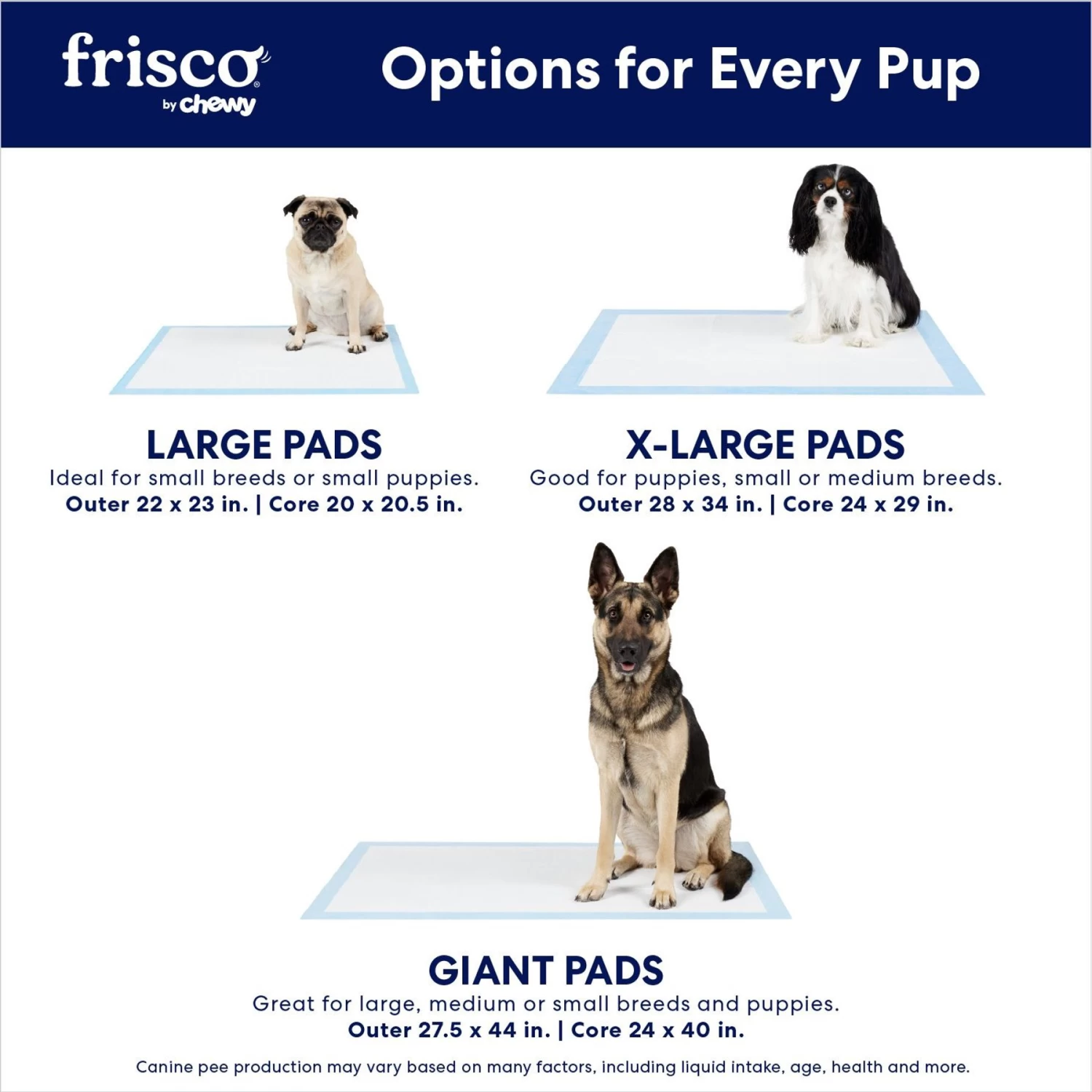 Frisco Premium Extra Large Printed Dog Training & Potty Pads - Image 4