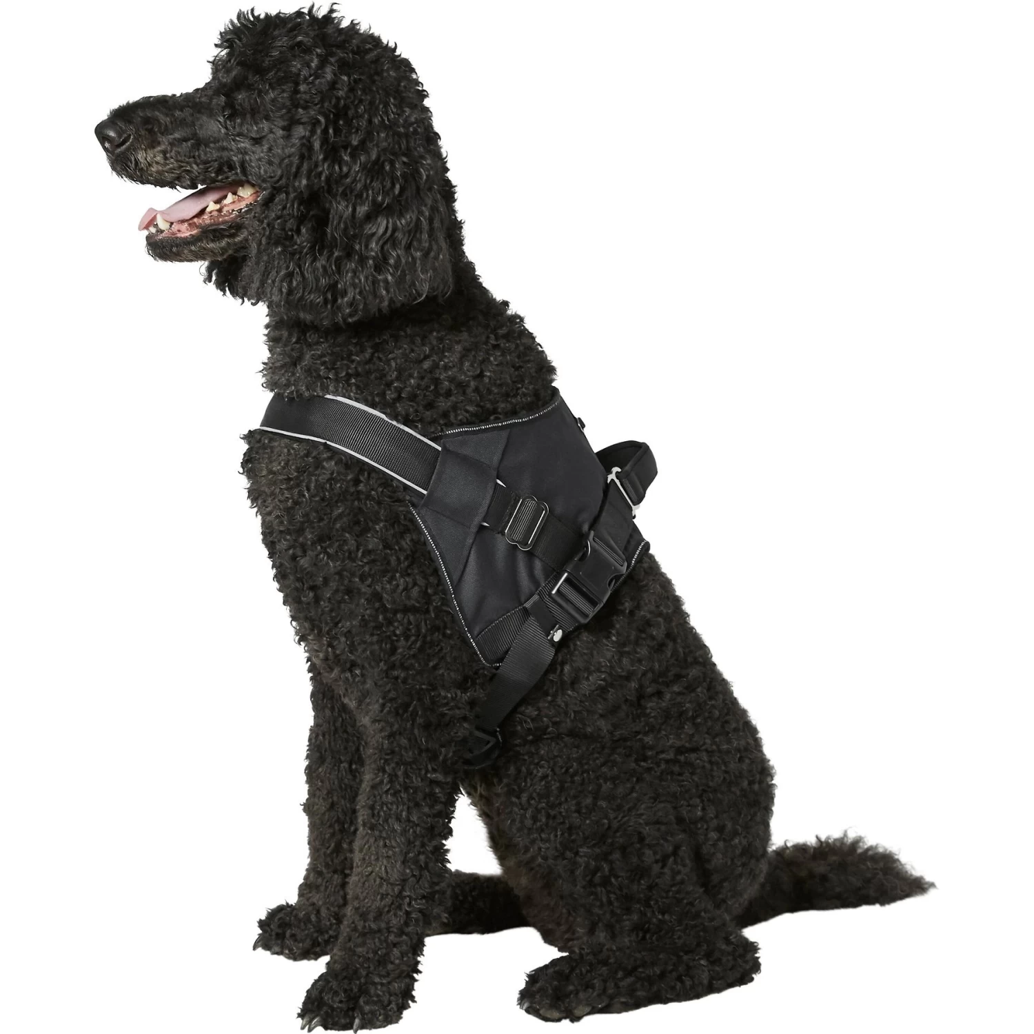 Frisco Big Dog Harness - Image 5