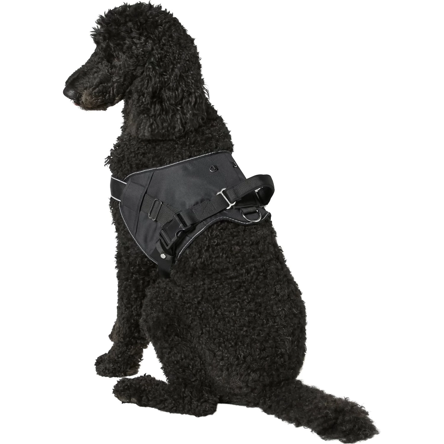Frisco Big Dog Harness - Image 6