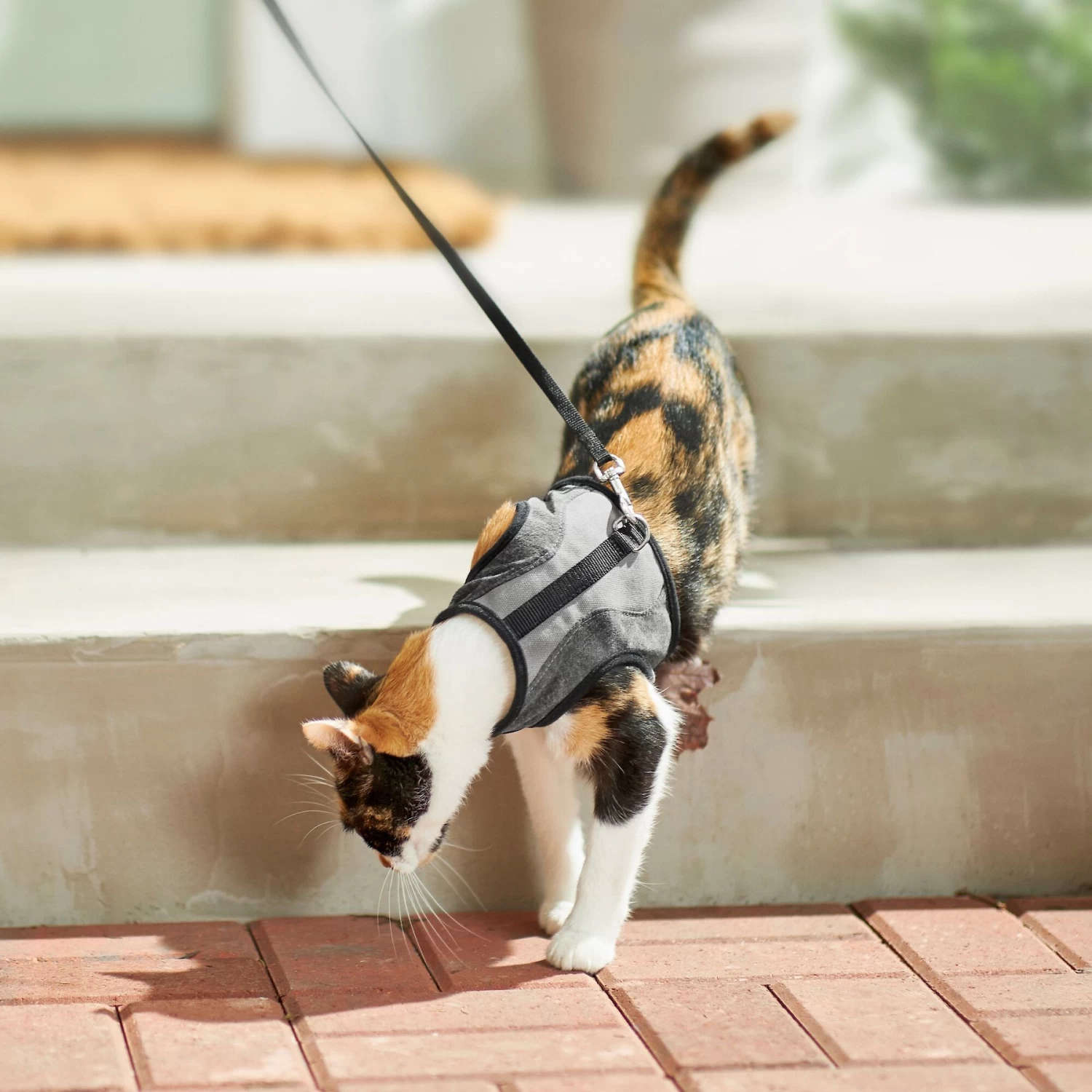 Frisco Wrap Cat Harness - Image 6
