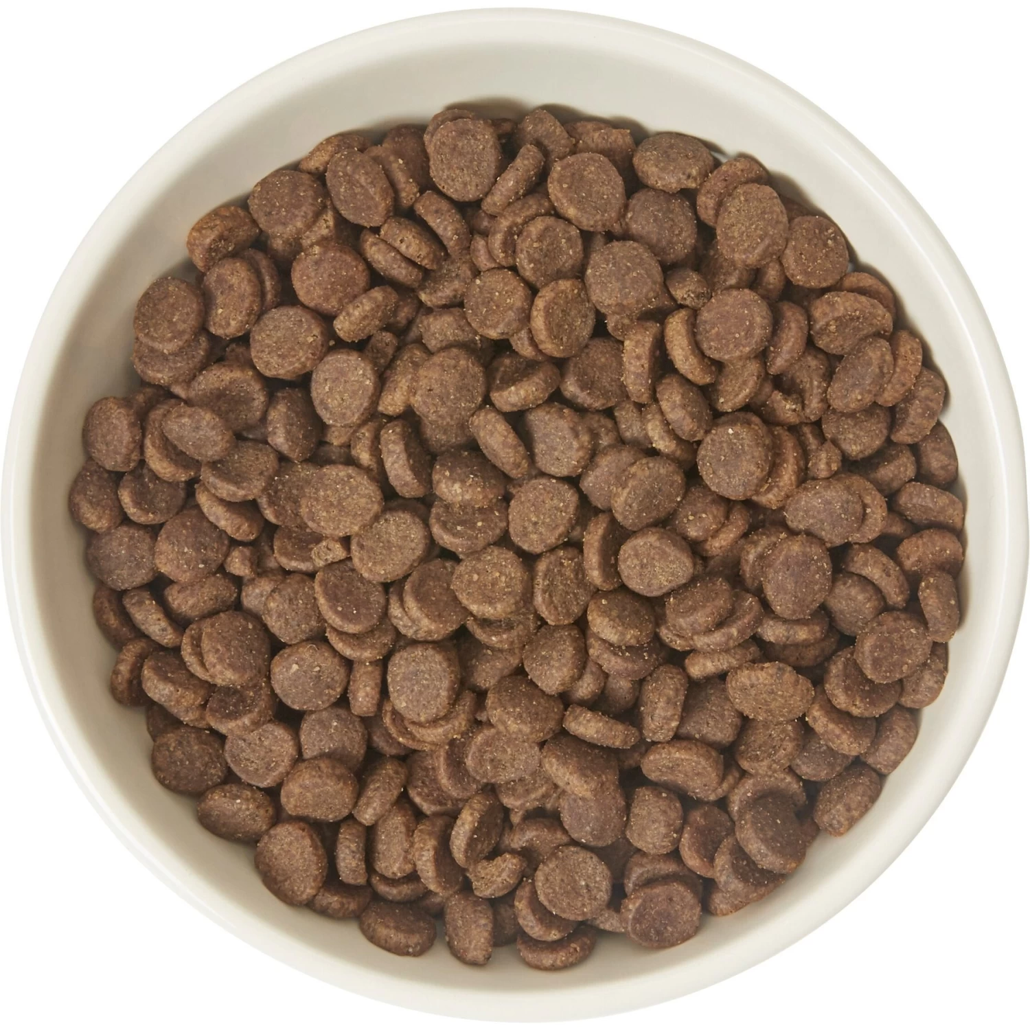 Frisco Double-Sided Ceramic Elevated Cat Bowl - Image 4