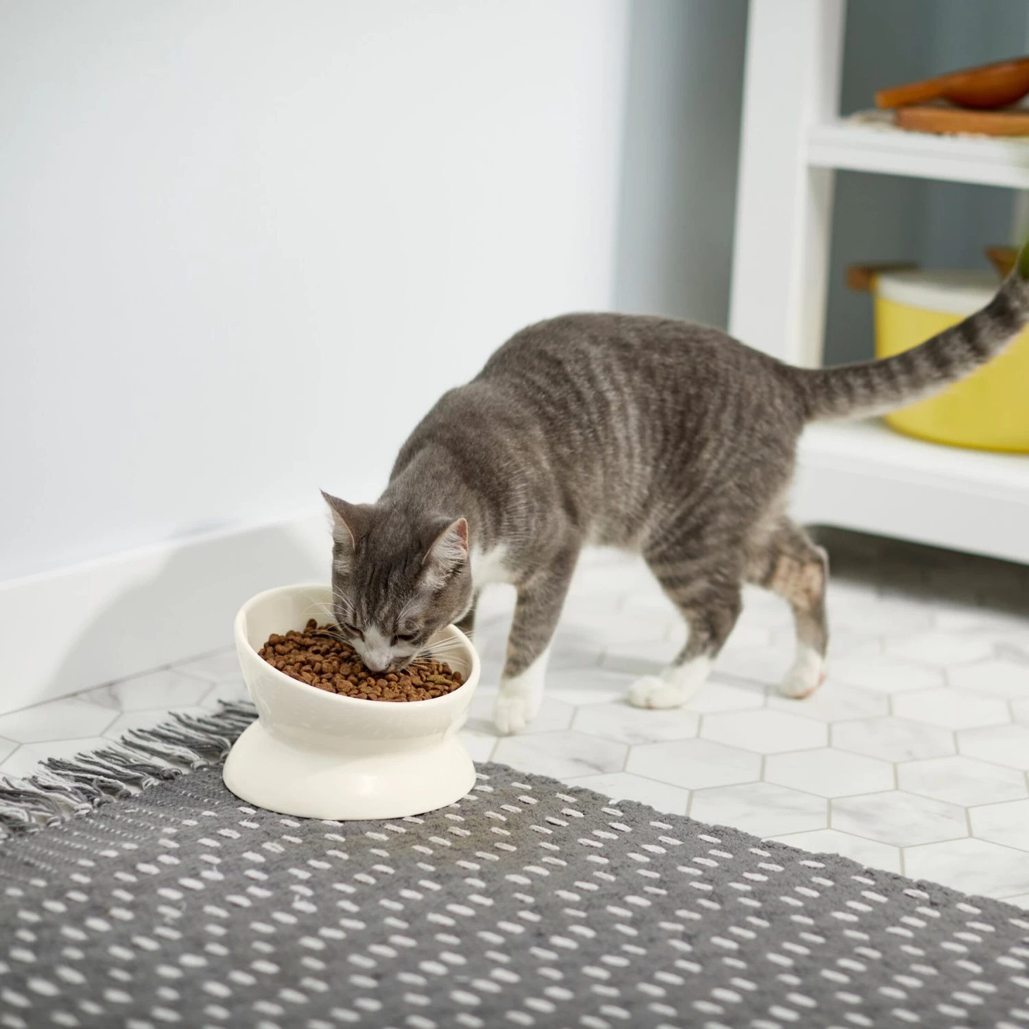 Frisco Double-Sided Ceramic Elevated Cat Bowl - Image 6