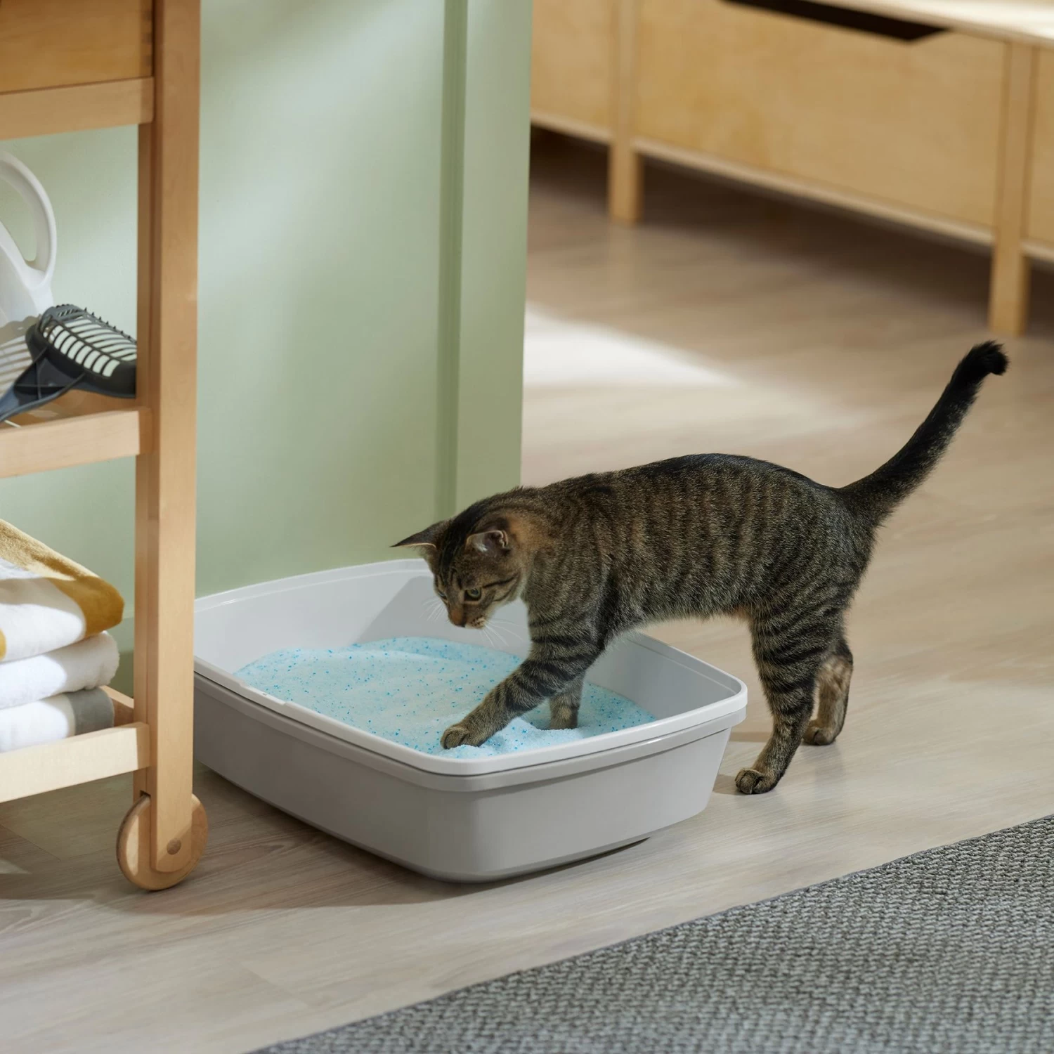 Frisco Micro Crystal Unscented Non-Clumping Crystal Cat Litter - Image 5