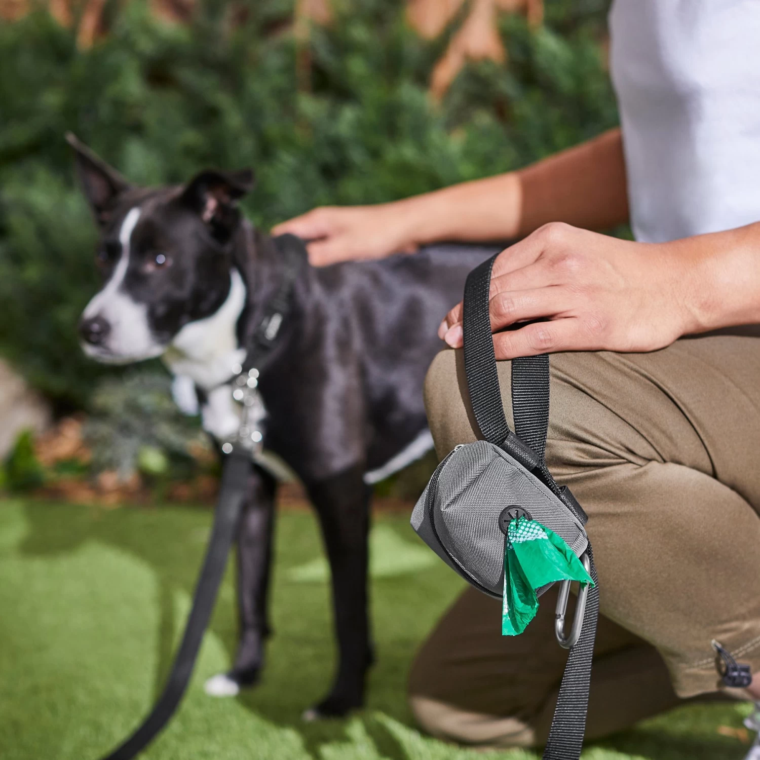 Frisco Dog Poop Bags With Fabric Dispenser - Image 7