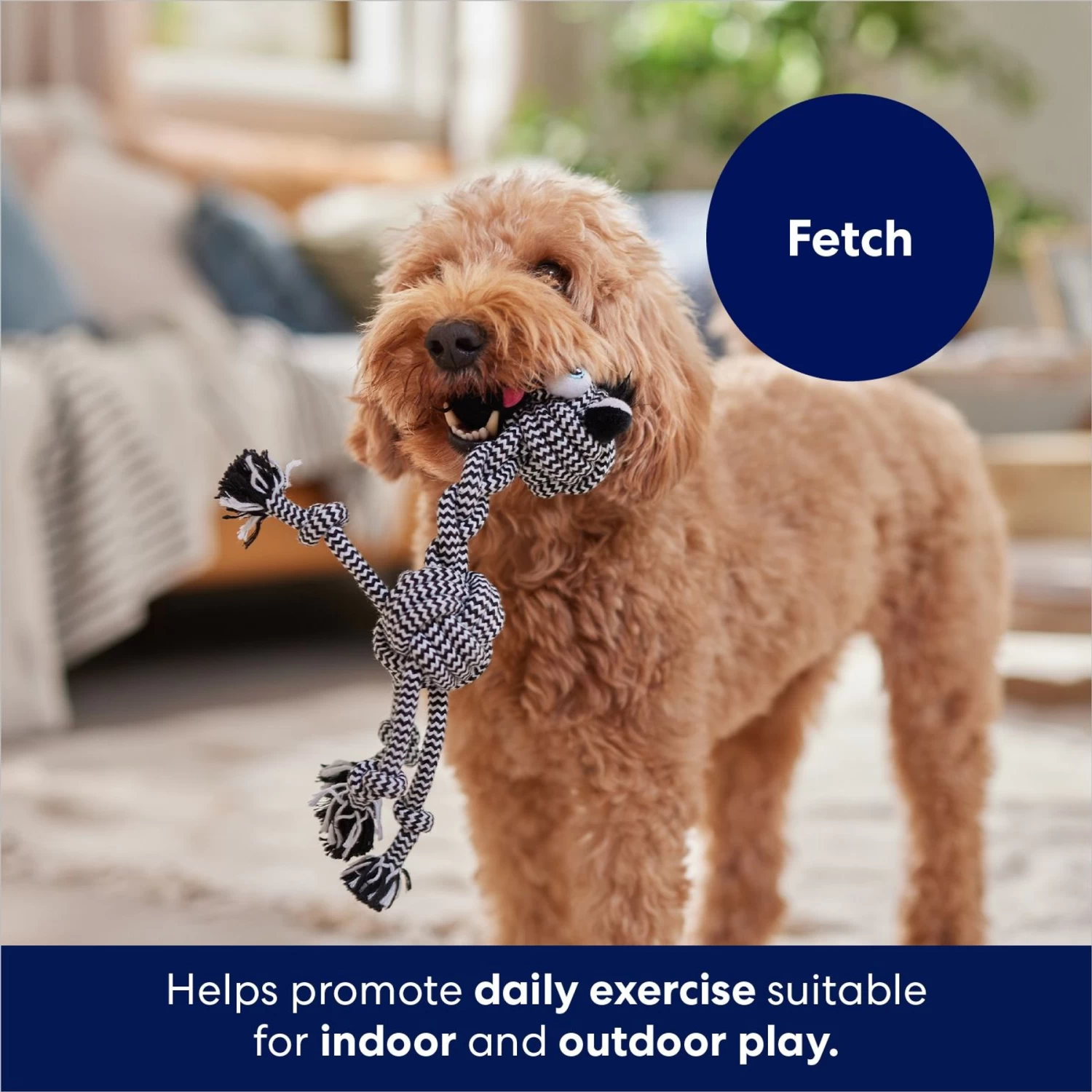 Frisco Zebra Rope Squeaky Dog Toy - Image 4