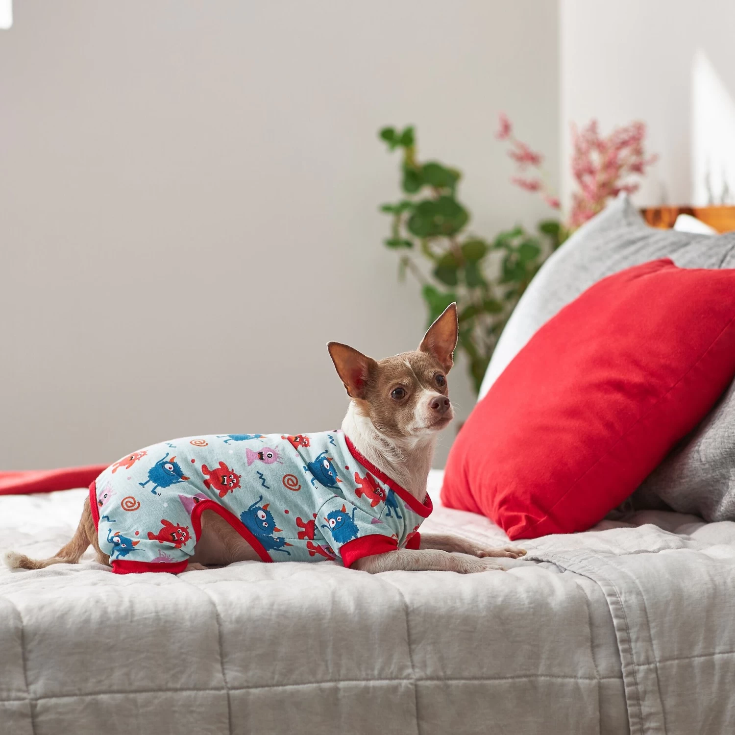 Frisco Little Monsters Dog & Cat Jersey PJs - Image 5