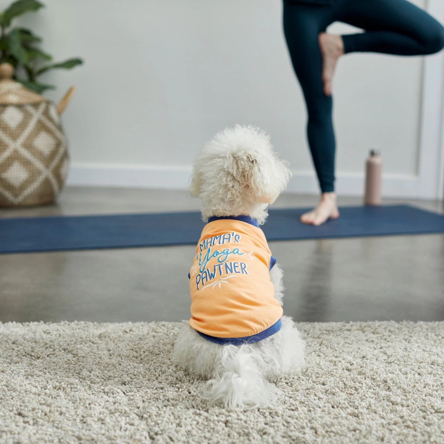 Frisco Mama's Yoga Pawtner Dog & Cat T-Shirt - Image 6