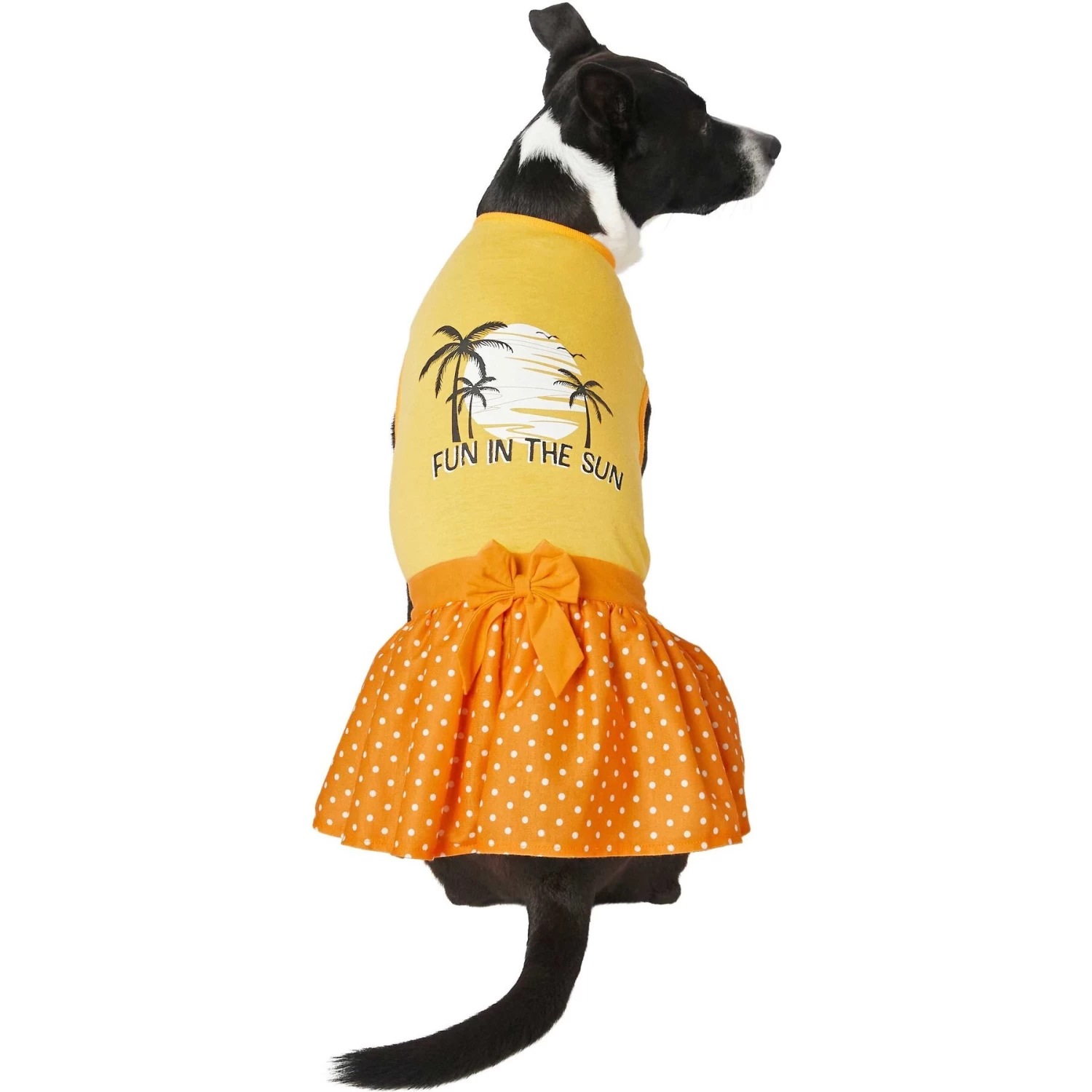 Frisco Fun In The Sun Dog & Cat Dress - Image 3