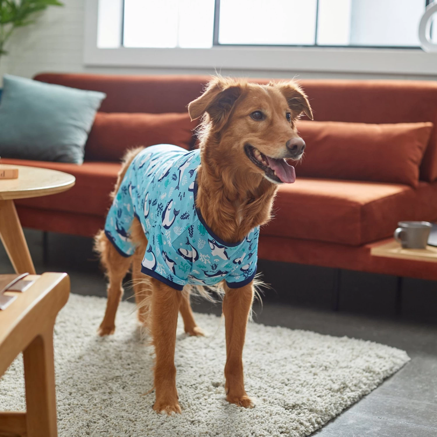 Frisco Happy Shark Dog & Cat Jersey PJs - Image 6