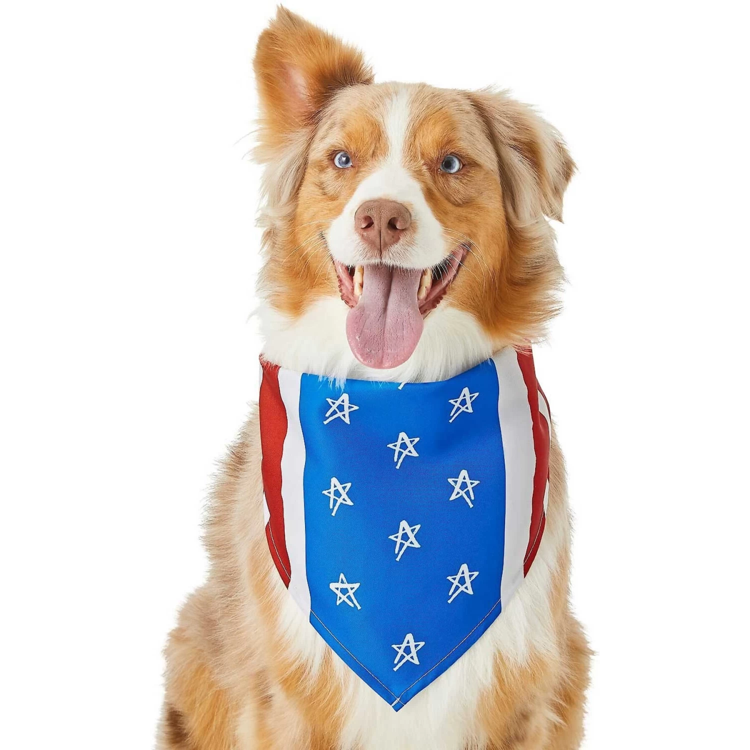 Frisco Stars & Stripes Dog & Cat Bandana - Image 3