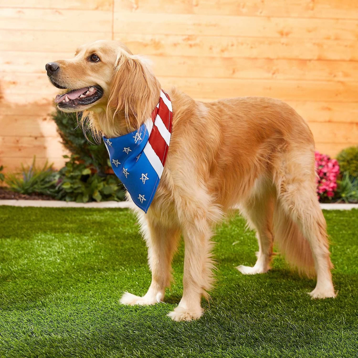 Frisco Stars & Stripes Dog & Cat Bandana - Image 6