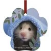 Frisco "My First Christmas" Paw Shape Metal Personalized Dog & Cat Holiday Ornament