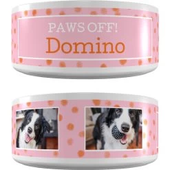 Frisco "Paws Off" Ceramic Personalized Dog Bowl