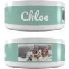 Frisco Playful Kitty Ceramic Personalized Cat Bowl, 1-cup, 8oz