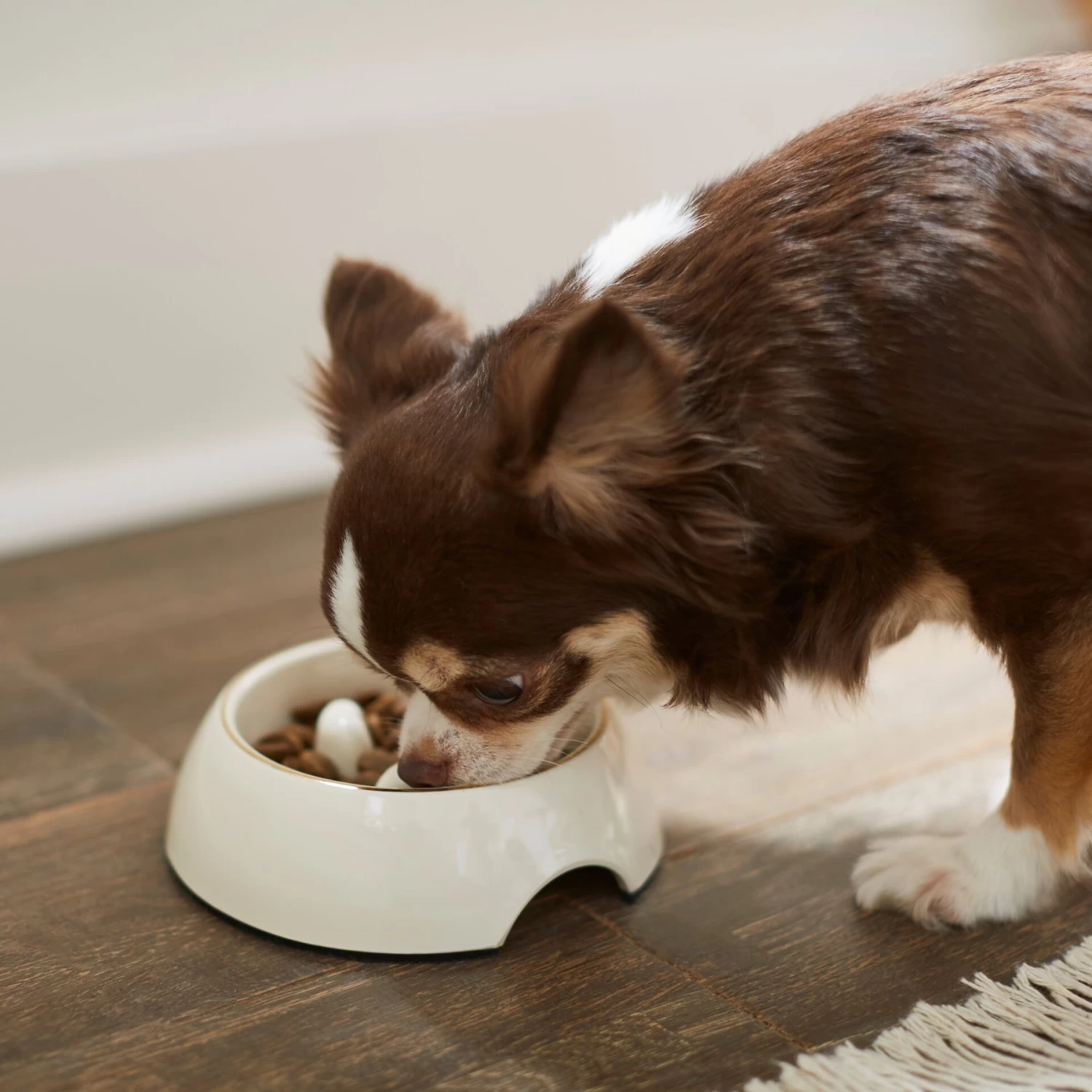 Frisco Melamine Slow Feed Dog & Cat Bowl With Gold Trim - Image 3