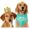 Frisco Happy Birthday Dog & Cat Crown & Frisco Dog & Cat Birthday Bandana