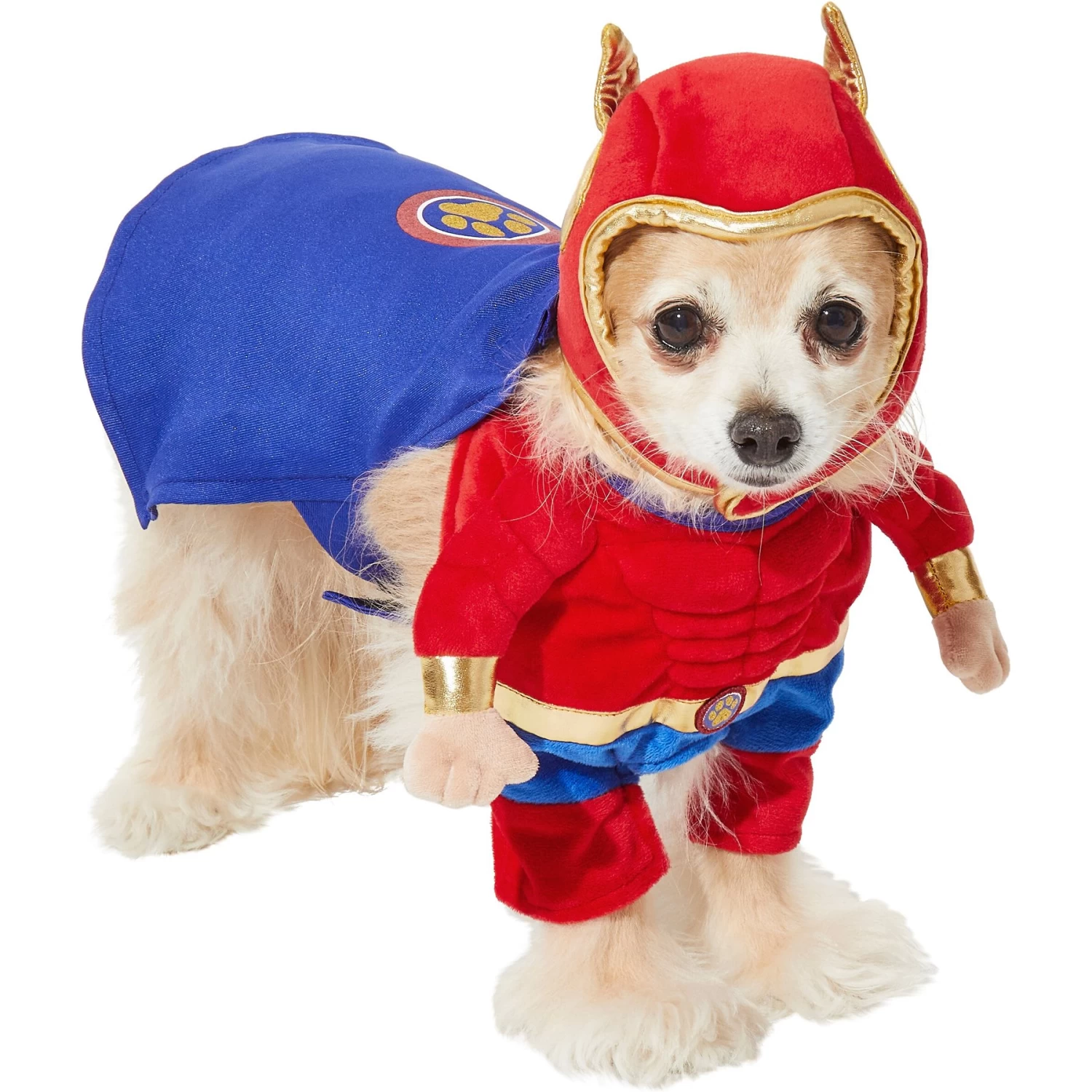 Frisco Front Walking Superhero Dog & Cat Costume - Image 4
