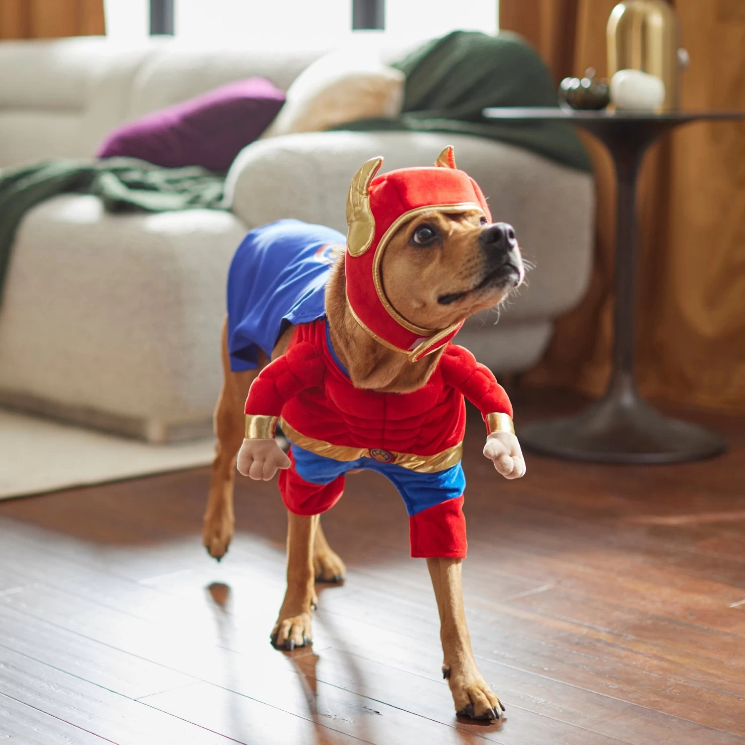 Frisco Front Walking Superhero Dog & Cat Costume - Image 8