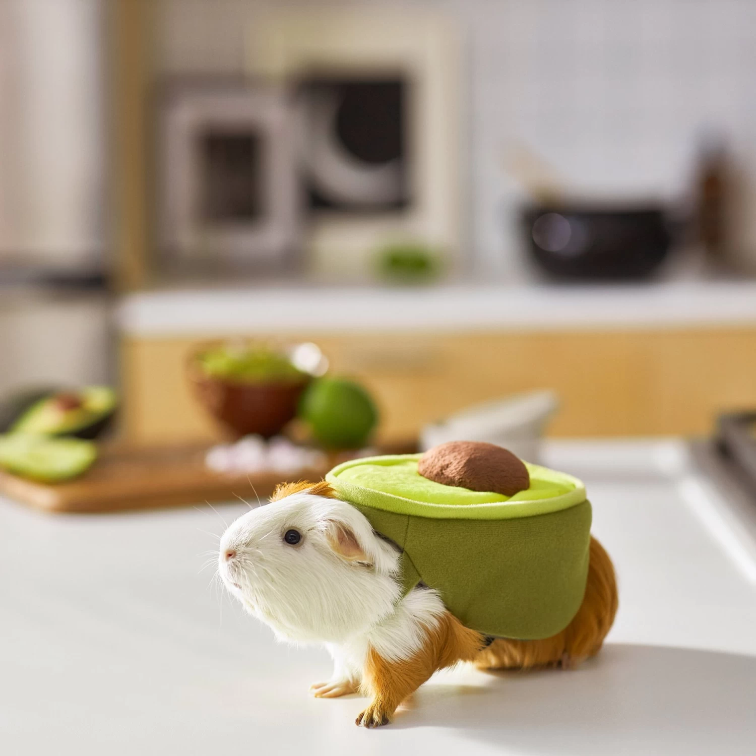 Frisco Avocado Guinea Pig Costume, One Size - Image 5