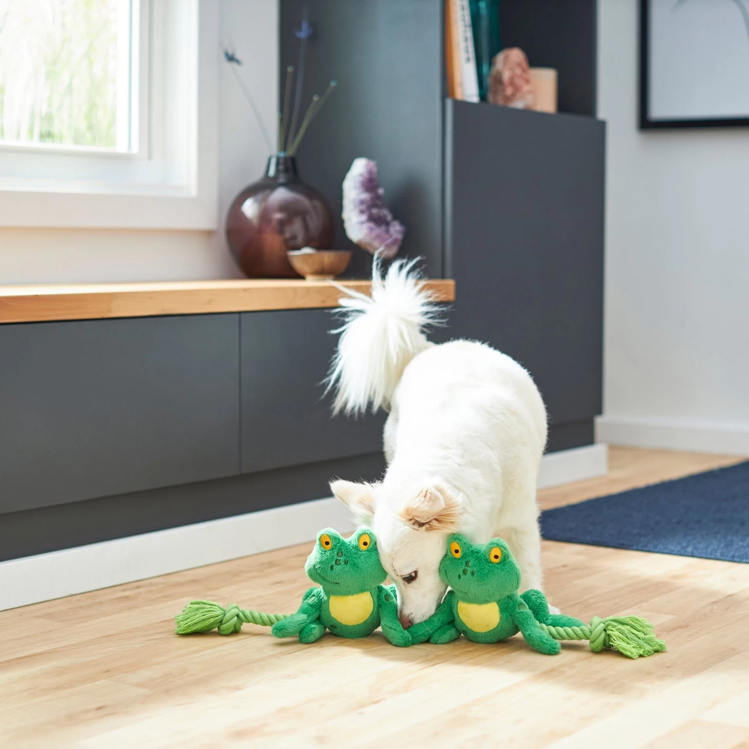 Frisco Magic Frog Plush With Rope Squeaky Dog Toy - Image 3