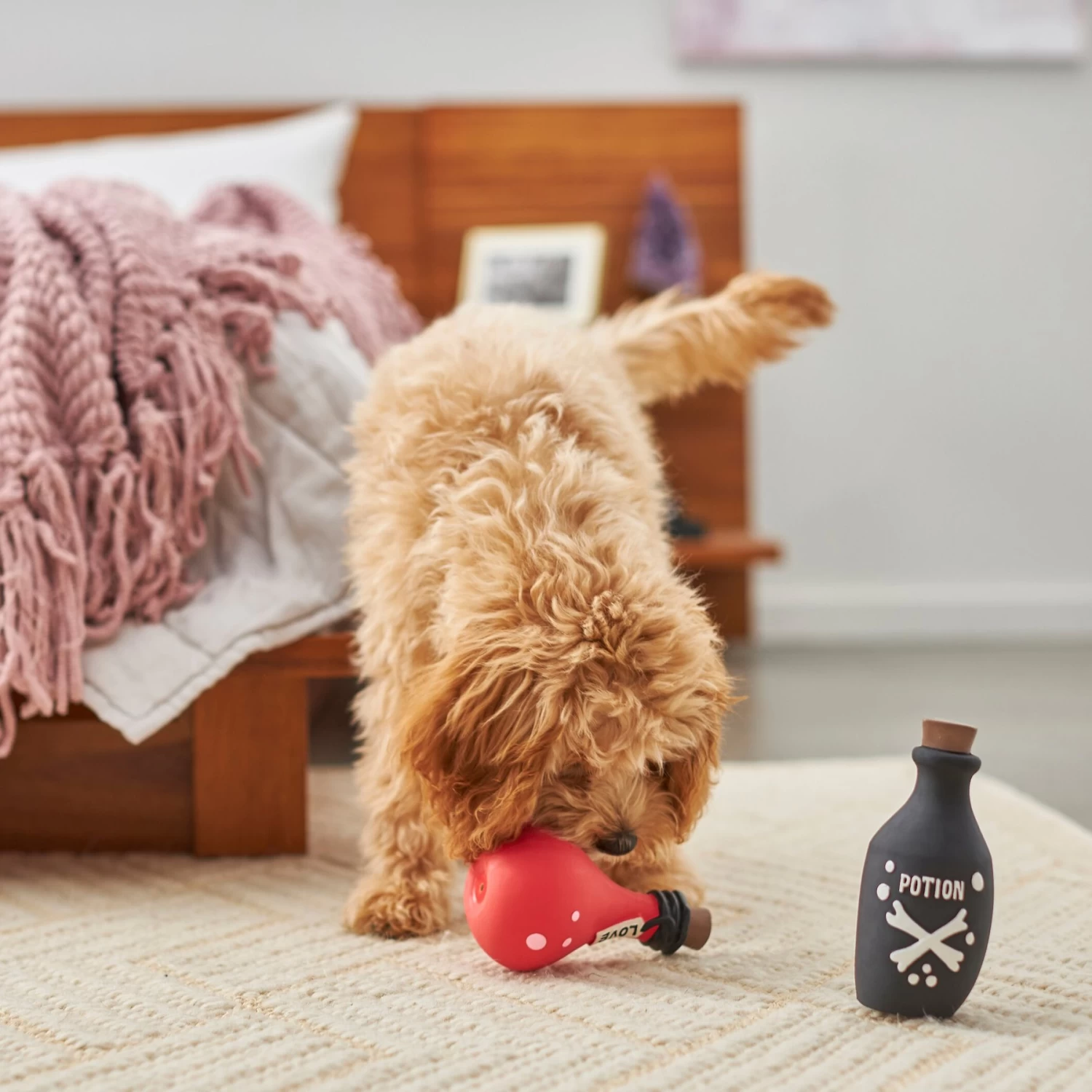 Frisco Magic Potions Latex Squeaky Dog Toy, 2 Count - Image 3