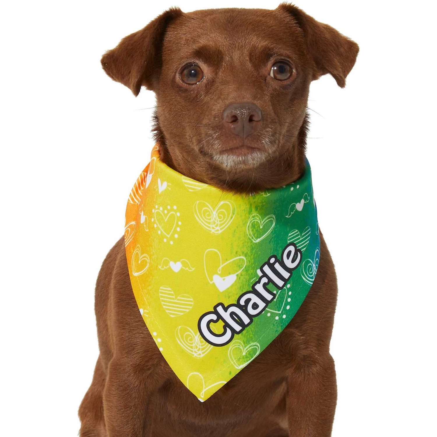 Frisco Rainbow Hearts Personalized Dog & Cat Bandana - Image 6