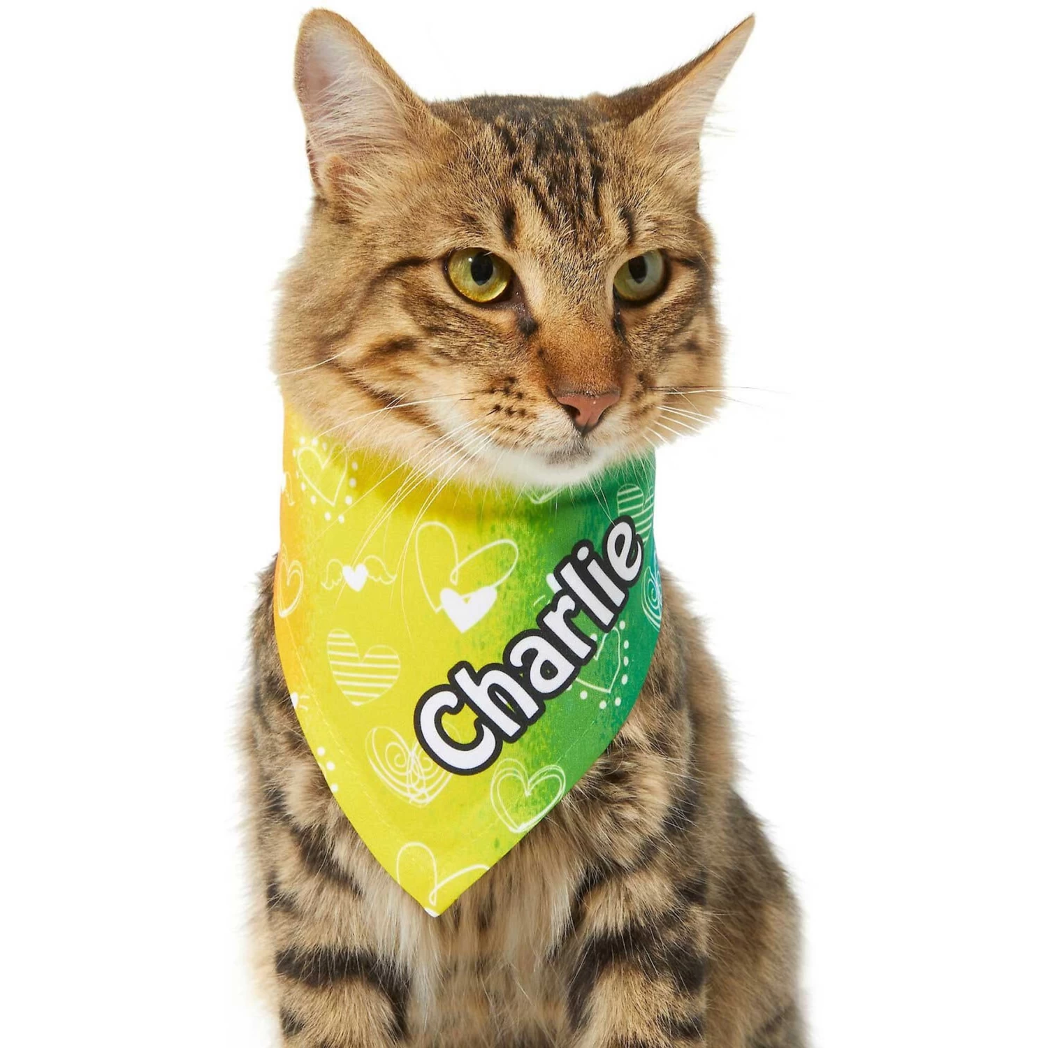 Frisco Rainbow Hearts Personalized Dog & Cat Bandana - Image 7