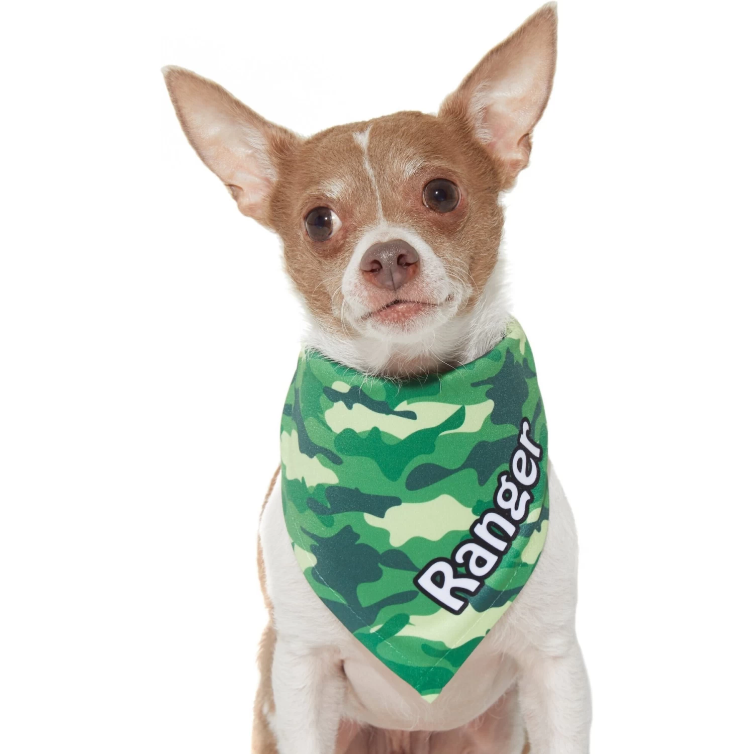 Frisco Green Camo Personalized Dog & Cat Bandana - Image 7