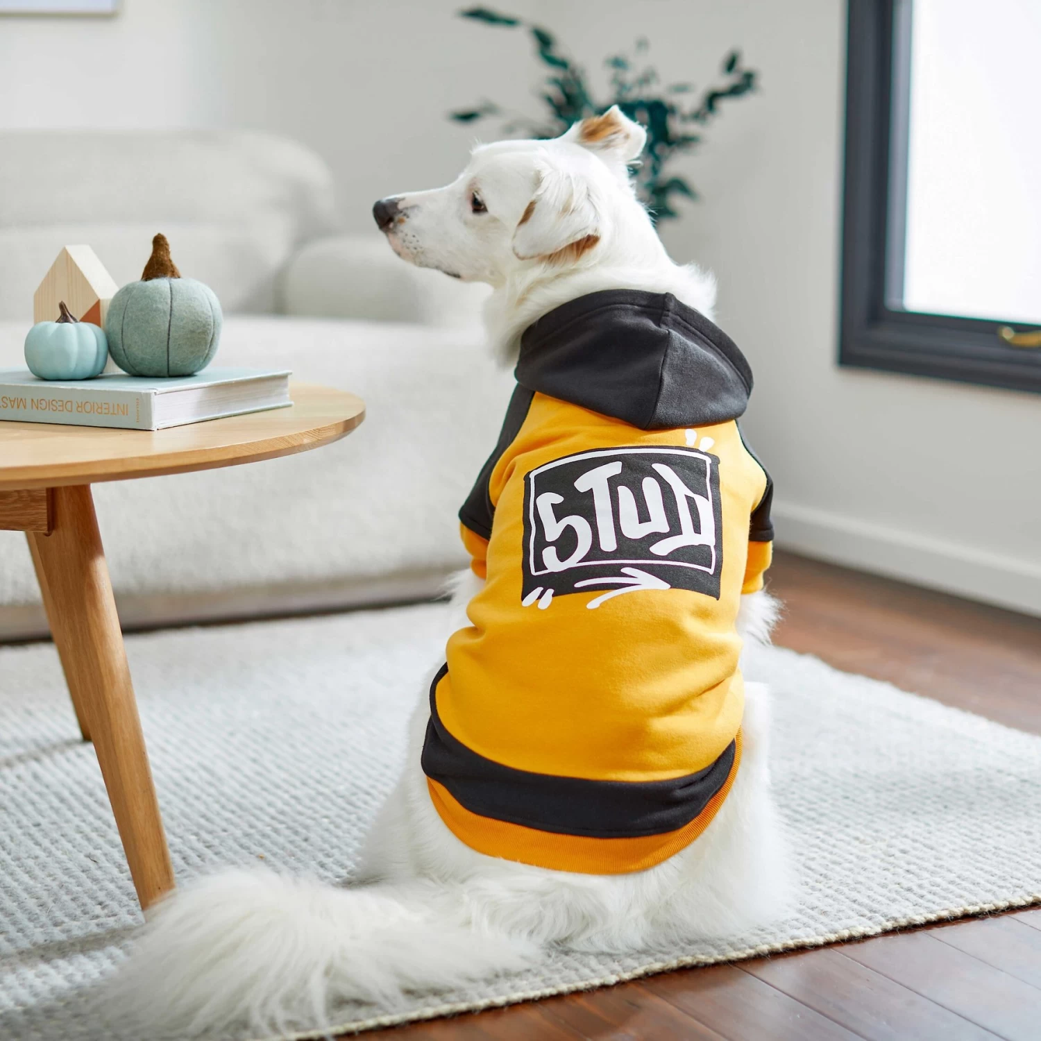 Frisco Stud Dog & Cat Hoodie - Image 7