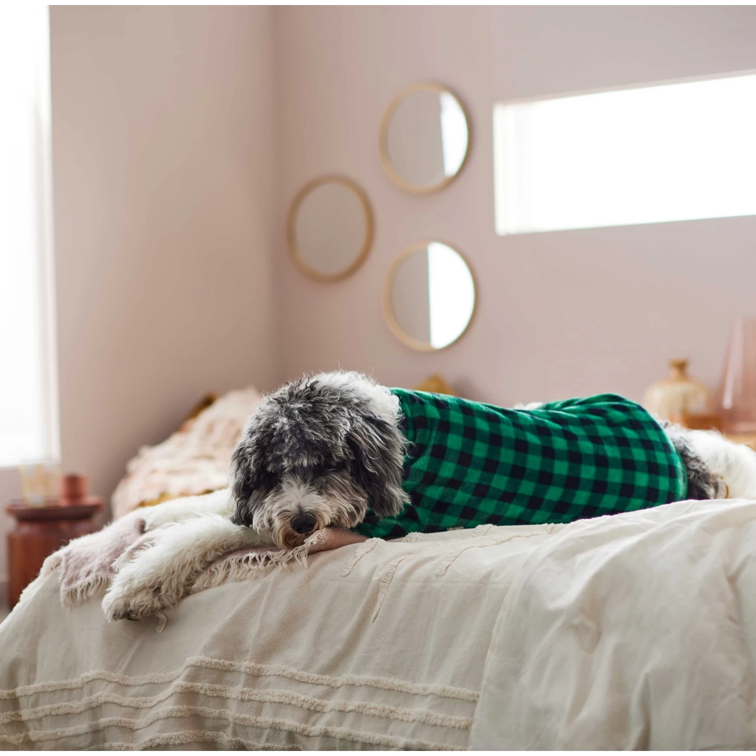 Frisco Dog & Cat Cozy Plush Fleece PJs, Green Plaid - Image 6