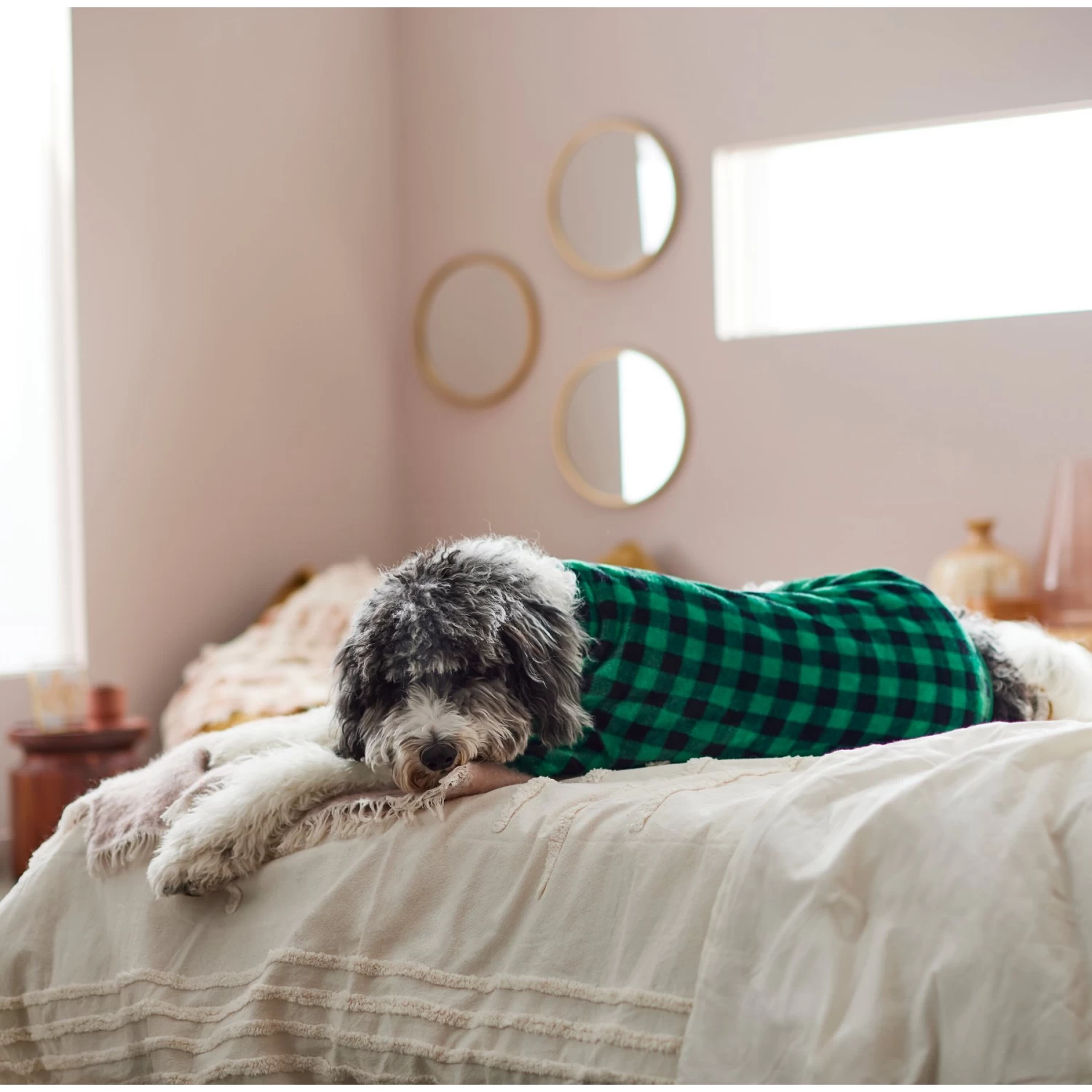 Frisco Dog & Cat Cozy Plush Fleece PJs, Green Plaid - Image 7