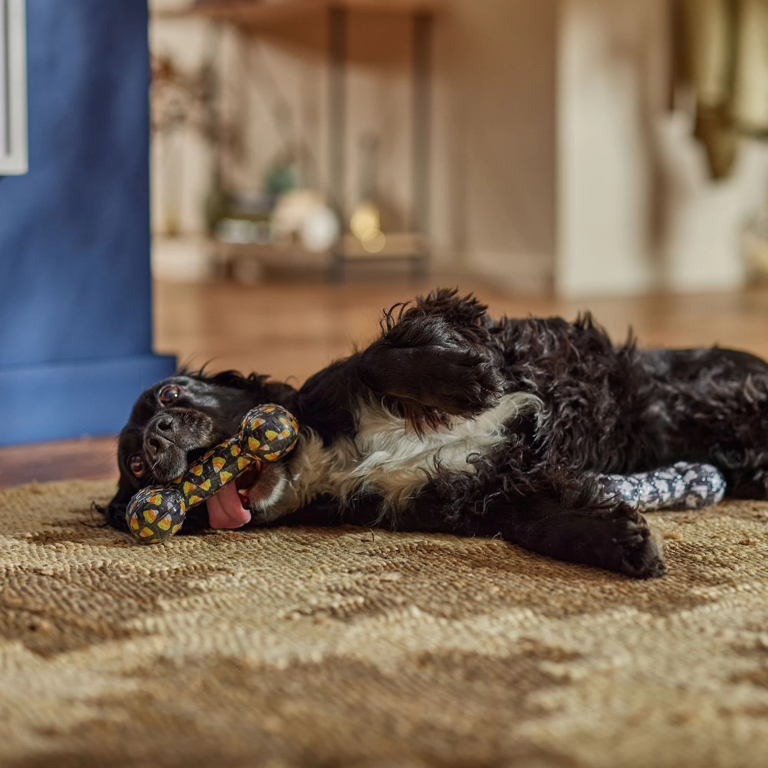 Frisco Halloween Candy Corn & Ghosts TPR Bone Squeaky Dog Toy, 2 Count - Image 3