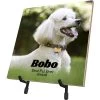 Frisco Personalized Basic Ceramic Photo Tile With Stand